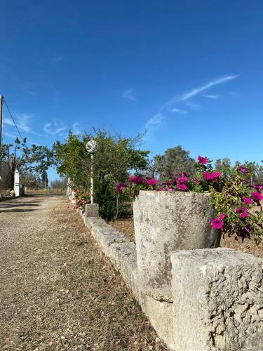 L'oasi Di Giovanna