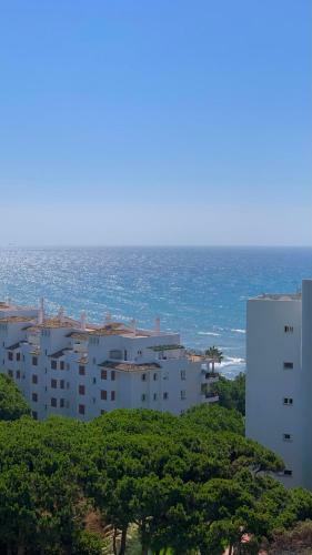 Apartment Algaida Calahonda Beachfront Sea View