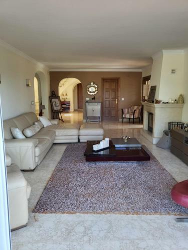 Andalusian Villa