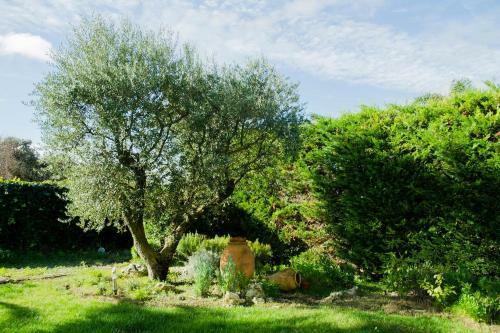 B&B Tina De Pacs, Close To Local Wineries