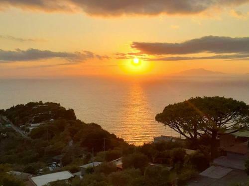 Apartamento Locazione Turistica Tramonto Su Capri