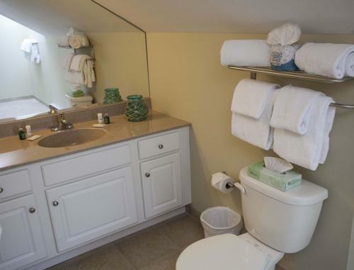 Apartamento Tanglwood Resort #2