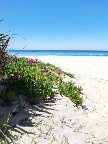 Apartamento Guest Beach House