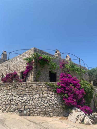 Apartamento Villa Licucuruzzi