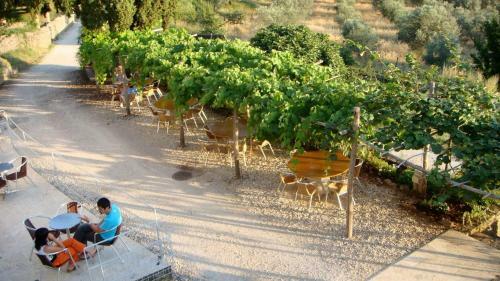Agroturismo Podere Riparbella