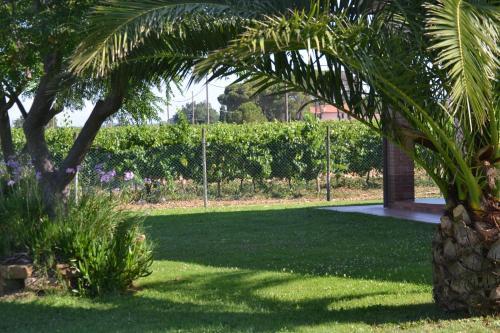 Agroturismo Agriturismo Il Laghetto