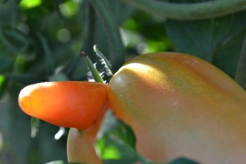 Agroturismo La Locanda Di Valbella