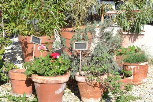Agroturismo La Locanda Di Valbella