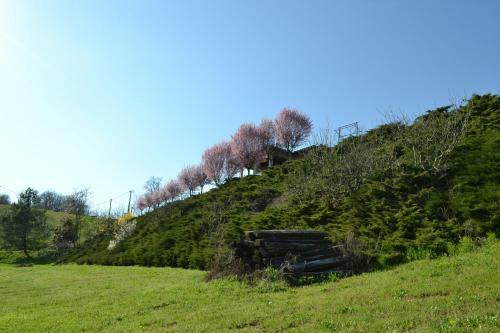 Agroturismo La Locanda Di Valbella