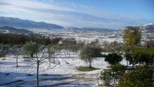 Il Bruco B&B