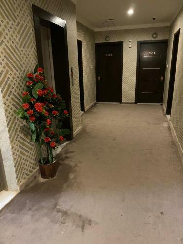 Apartamento ???? ???? ????