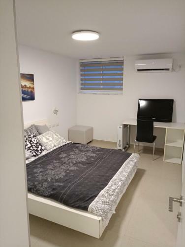 Galili Basement Apartment
