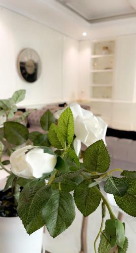 Apartamento Damac Sweet