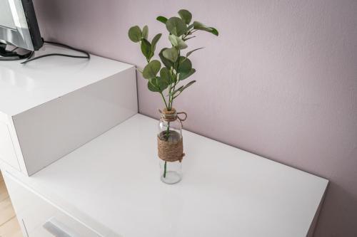 Cozy Central Apartment 2