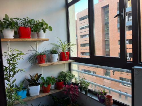 Apartamento Bulku Guest House