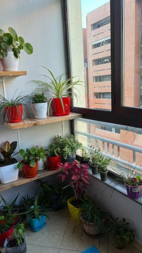 Apartamento Bulku Guest House