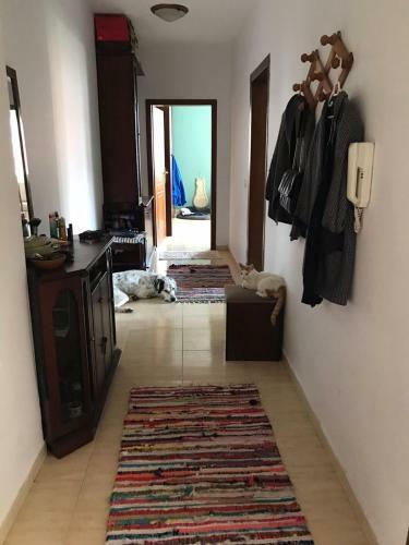 Apartment, Tirana, Embassy Of Usa