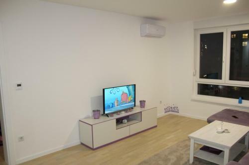 Mirror Apartment