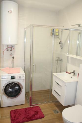 Mirror Apartment