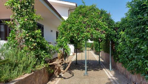 Hostal The Rosa's House