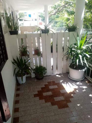 Apartamento Stojanovic