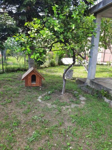 Apartman Jana