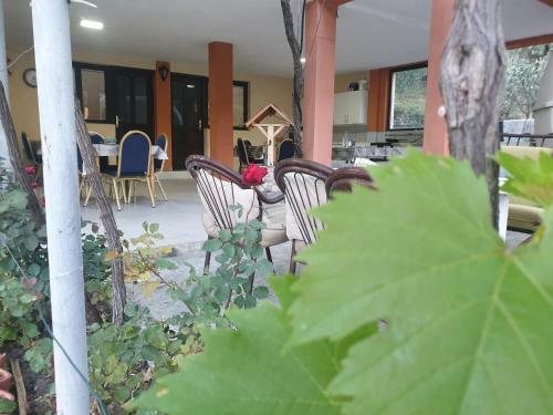Mijailovic Apartmani