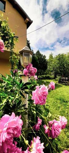 Apartamento Villa Ramonda