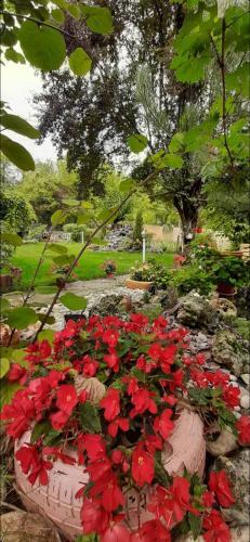Apartamento Villa Ramonda