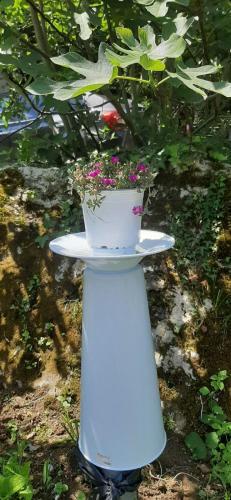 Apartamento Villa Ramonda