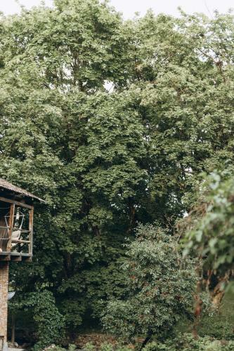 Firewood Shed Outdoors