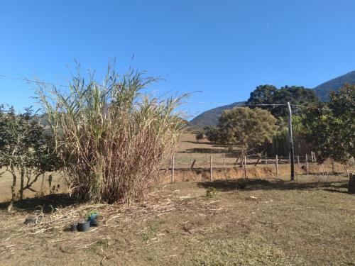 Bela Vista