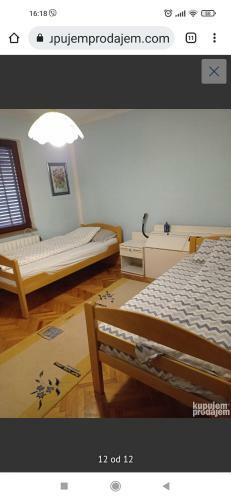 Apartman Zoxy