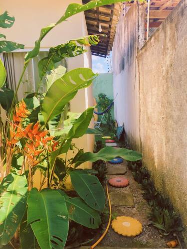 Hostal Su�te Com Mini Cozinha A Poucos Passos Do Mar