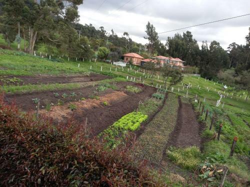 Agroturismo Green House