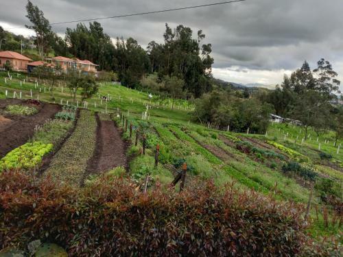 Agroturismo Green House