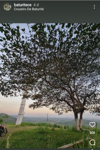 Luz E Flor