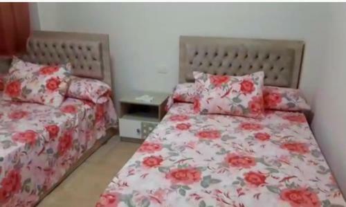 Apartamento ????? ?????