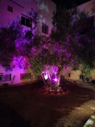 Villa Avec Piscine D�tente Et Relaxation