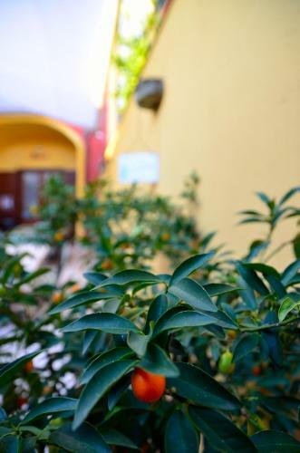 Manouche Bistrot B&B