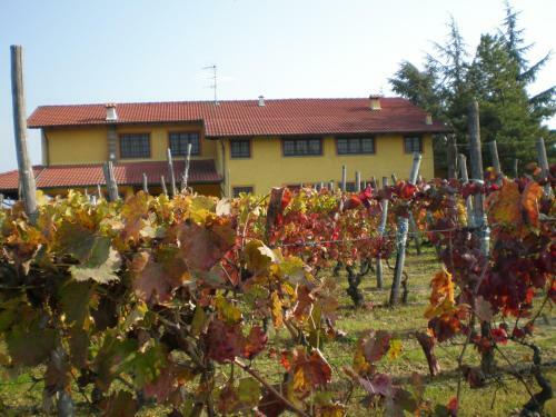 Agroturismo Cascina La Maddalena Bed & Wine