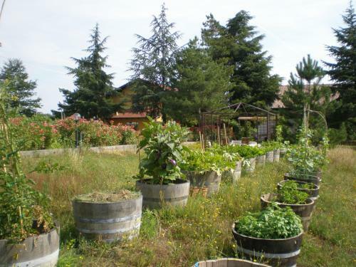 Agroturismo Cascina La Maddalena Bed & Wine