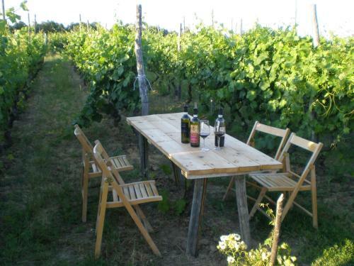 Agroturismo Cascina La Maddalena Bed & Wine