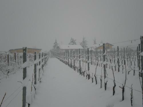 Agroturismo Cascina La Maddalena Bed & Wine