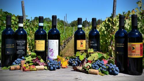 Agroturismo Cascina La Maddalena Bed & Wine