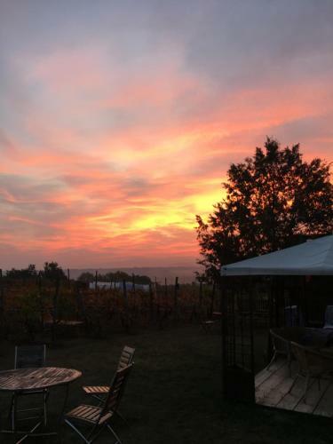 Agroturismo Cascina La Maddalena Bed & Wine