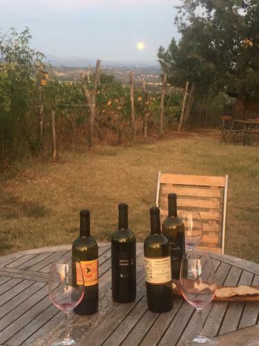 Agroturismo Cascina La Maddalena Bed & Wine