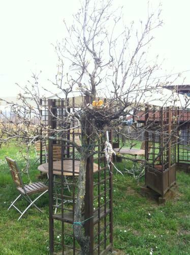 Agroturismo Cascina La Maddalena Bed & Wine