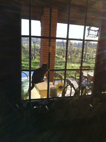 Agroturismo Cascina La Maddalena Bed & Wine