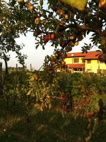 Agroturismo Cascina La Maddalena Bed & Wine